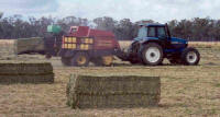 Big Square Hay Baling