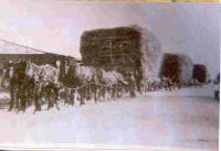 Carting Hay in the past