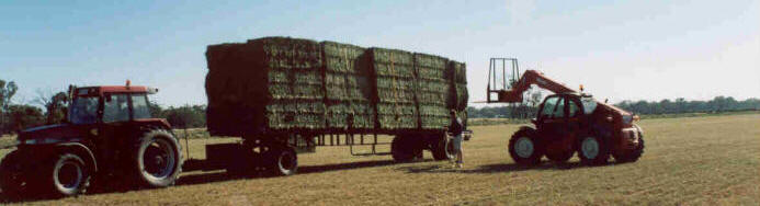 Loading Hay at the farm