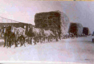 Carting Hay